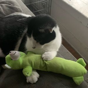 Meet your Posher, Trin